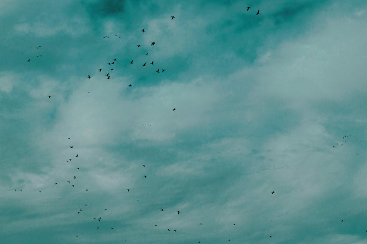 cloud blue