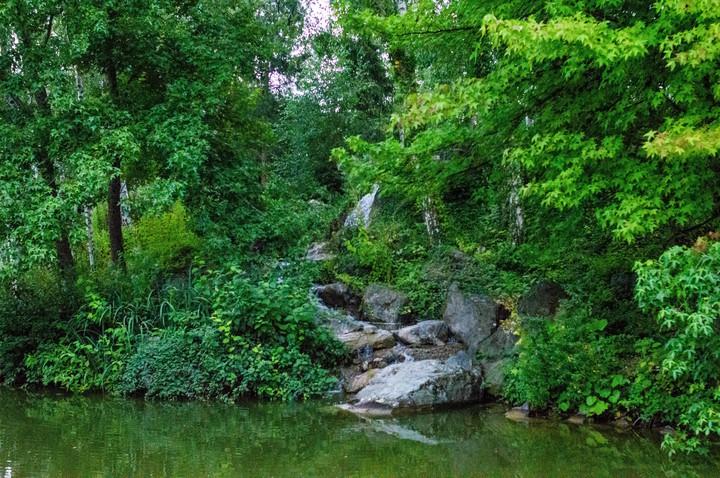 Nature