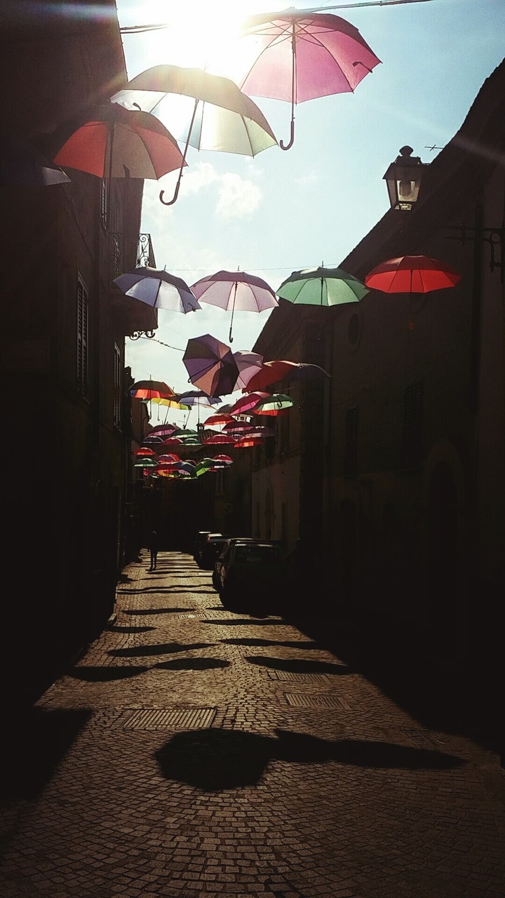 Umbrella