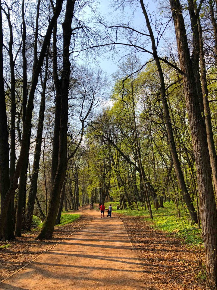 дорога
