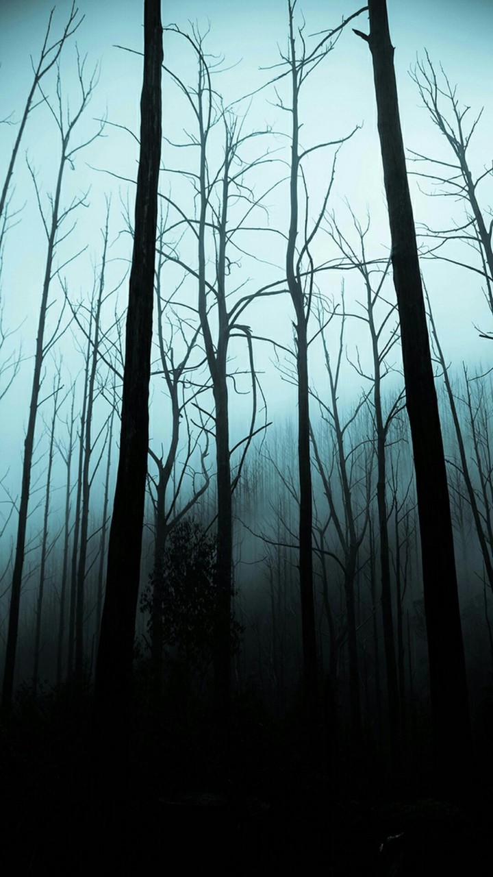 Lost