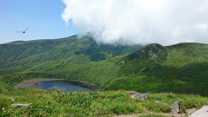 山