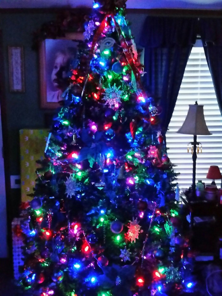 Christmas Delight