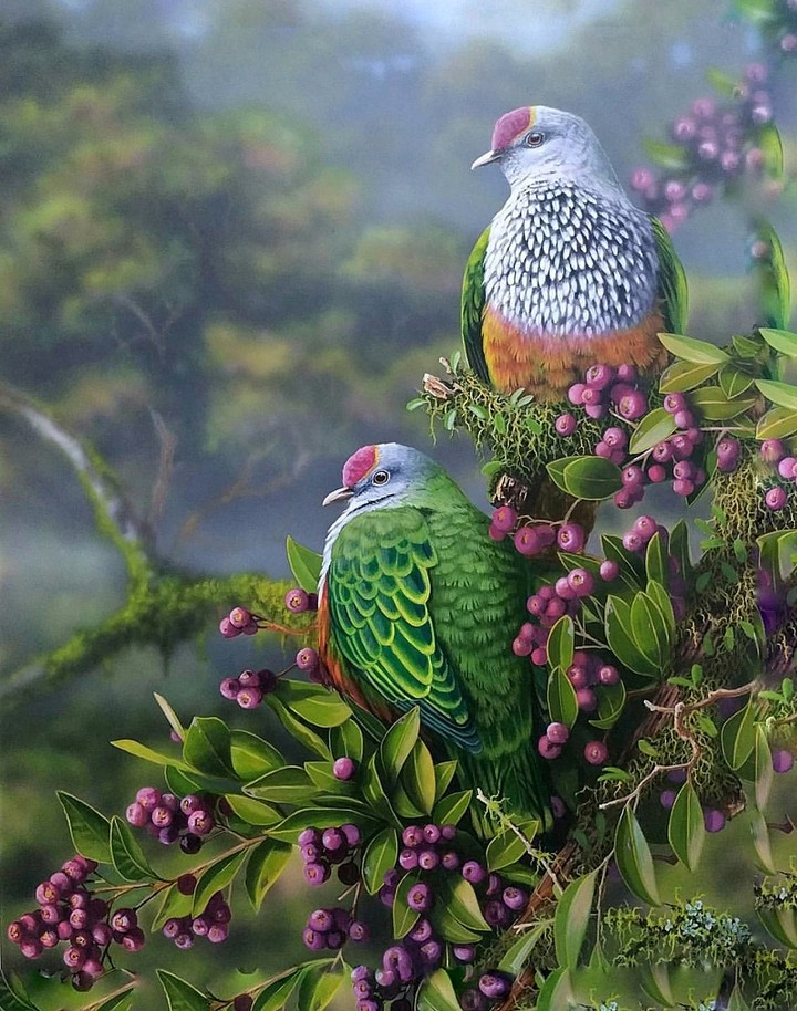 Turtledove