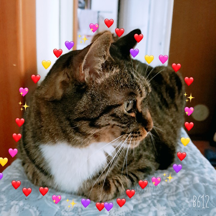 하뜨~하뜨
