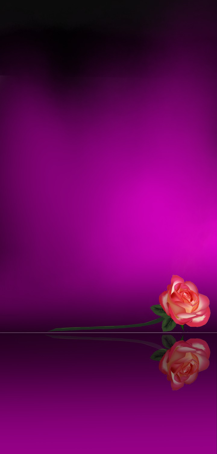 rose