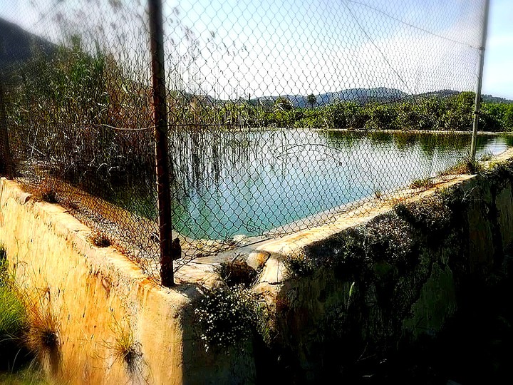 #reservoir for orange irrigation