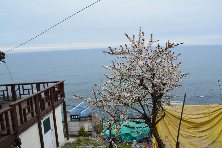 풍경이미지