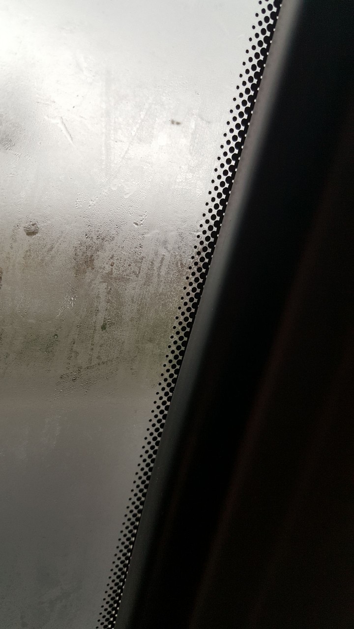 Rainy