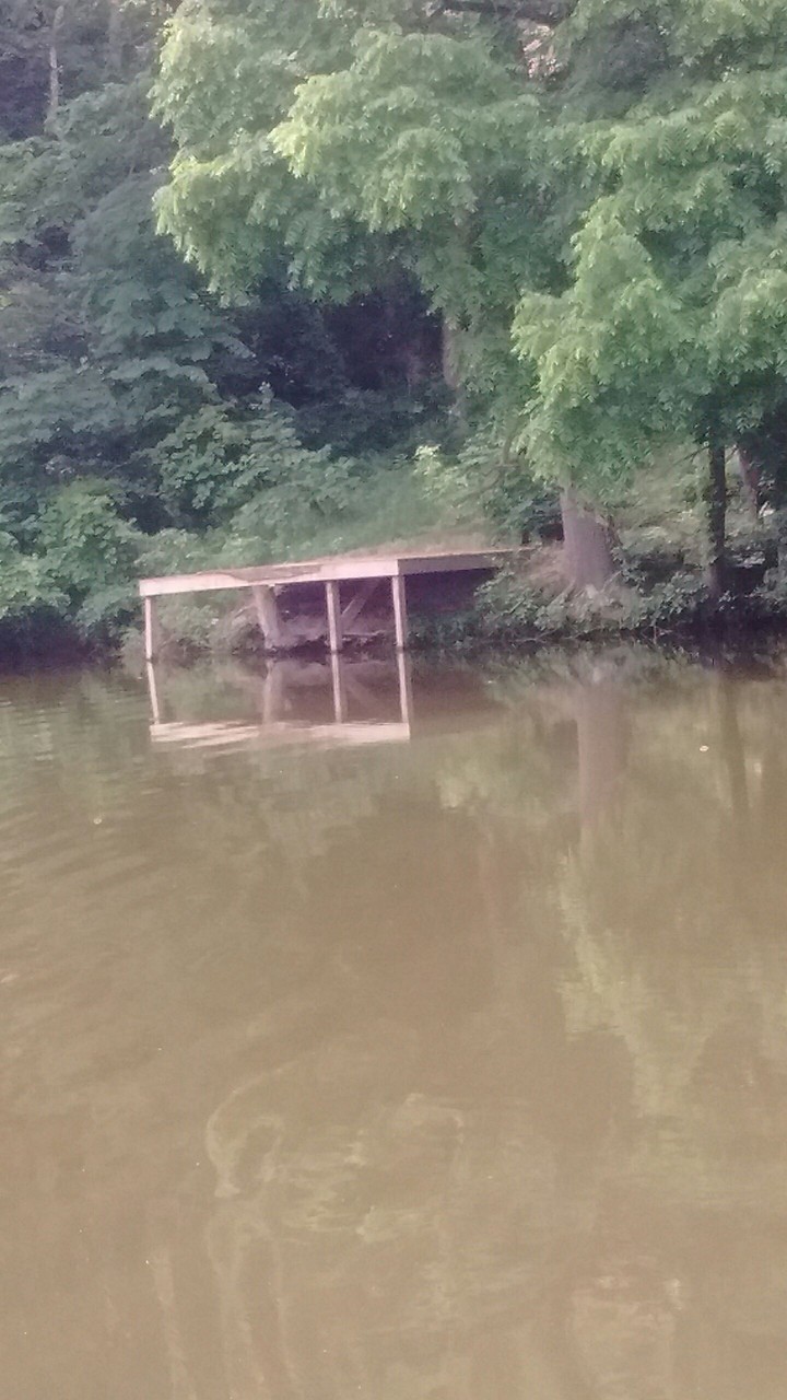 Jump In!!!