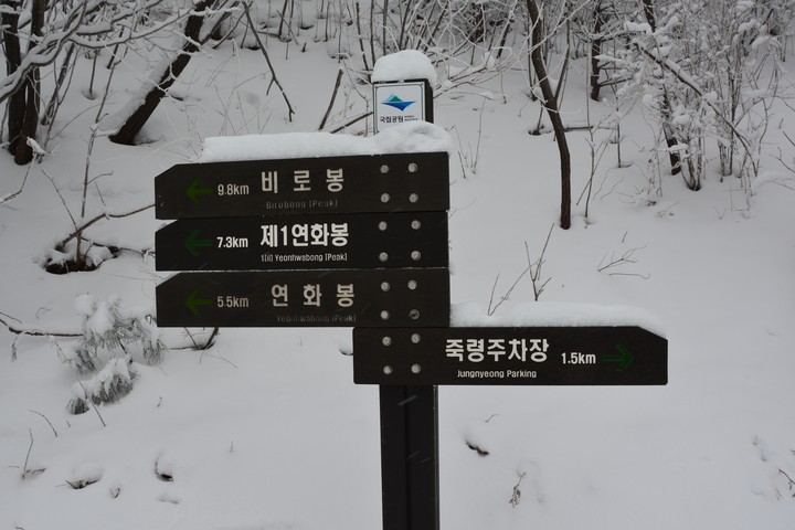 풍경이미지