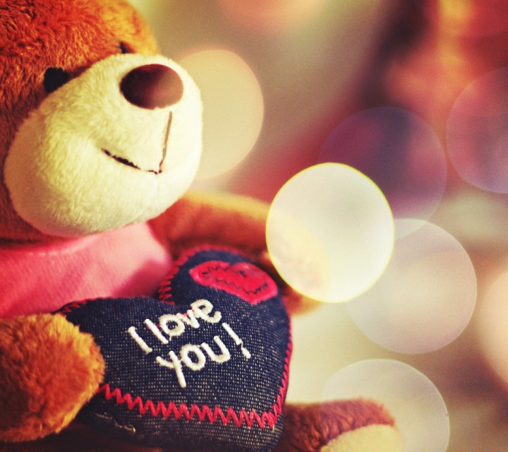teddy bear