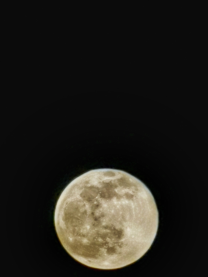 moonlight