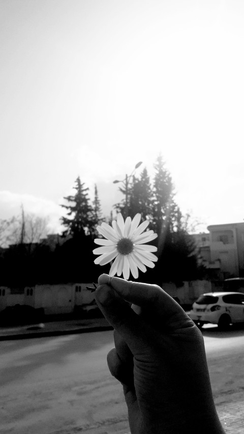 Good?