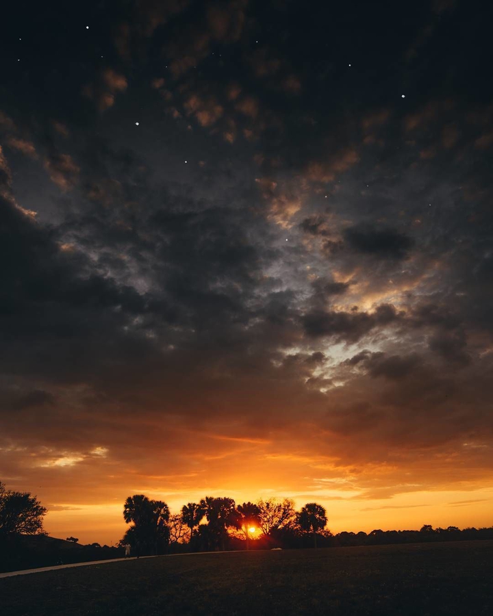 Before Dark