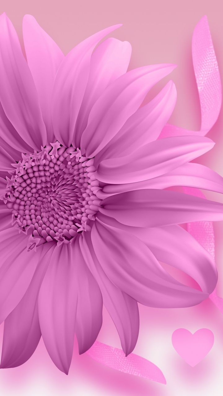 beautiful flower