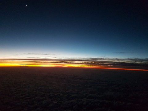 Sunset Canaries