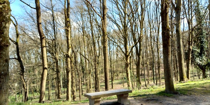Bosque Ecouen Francia / Forest Ecouen France
