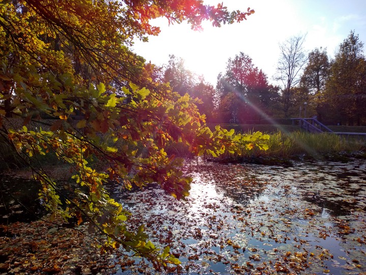 осенний парк