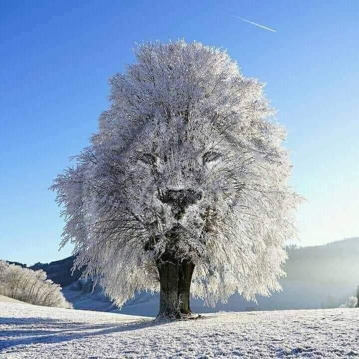 Amazing and wonderful nature ?