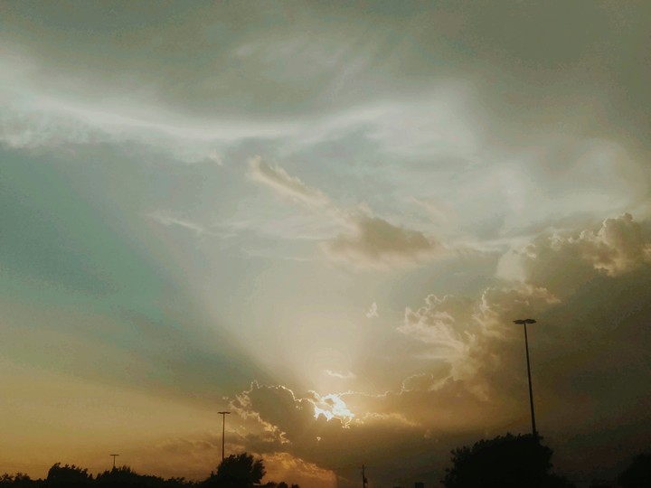 a little bit of sunshine ⛅