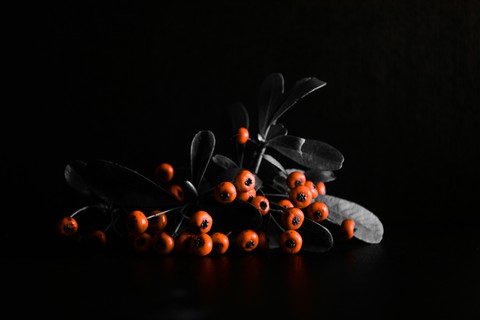 шпалери flame, darkness