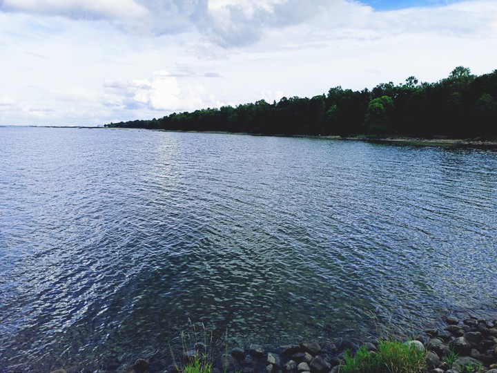 Bay
