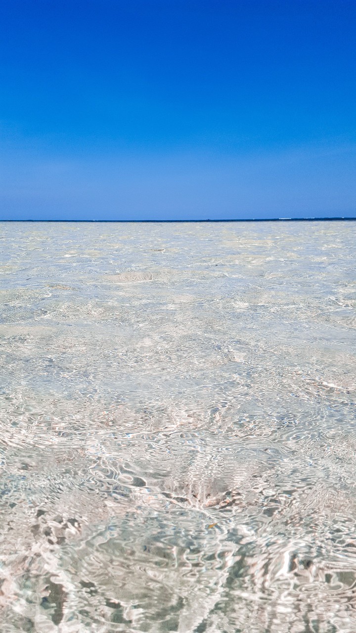 Ocean