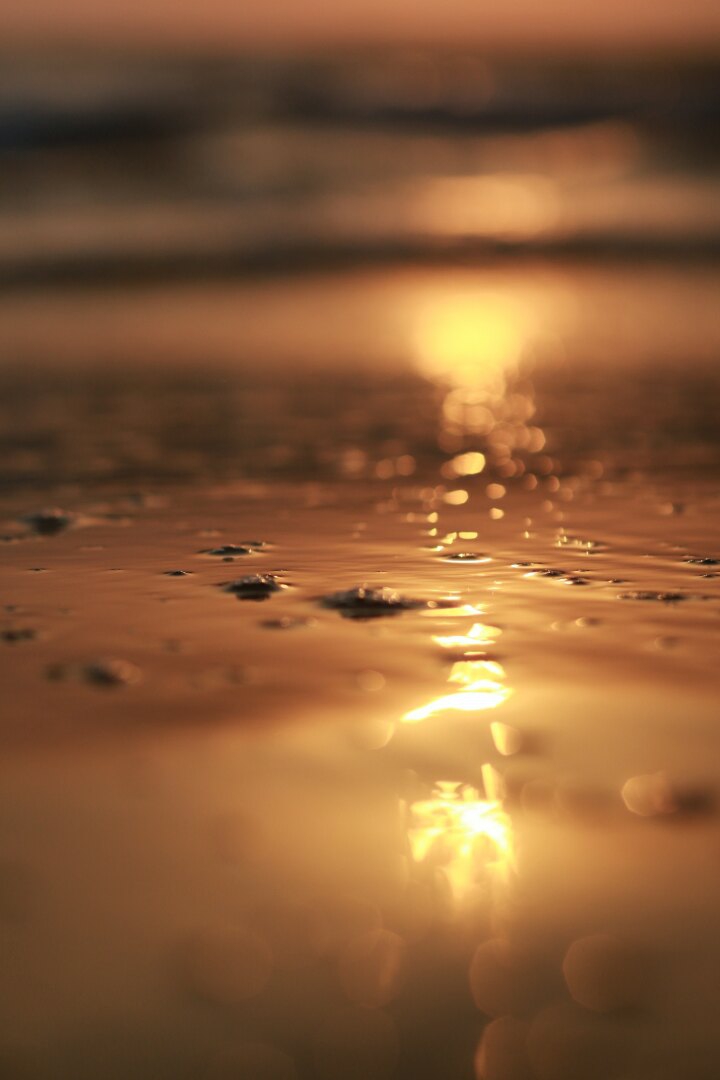 sunset on the sea
