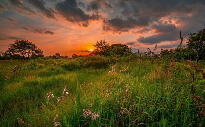 Nature's Beauty
