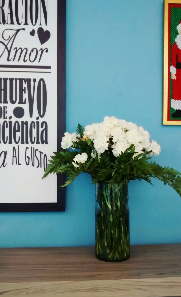 Claveles en fondo azul