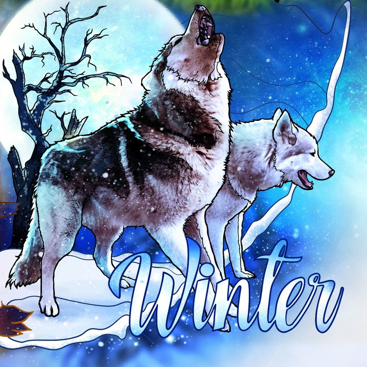 Inverno