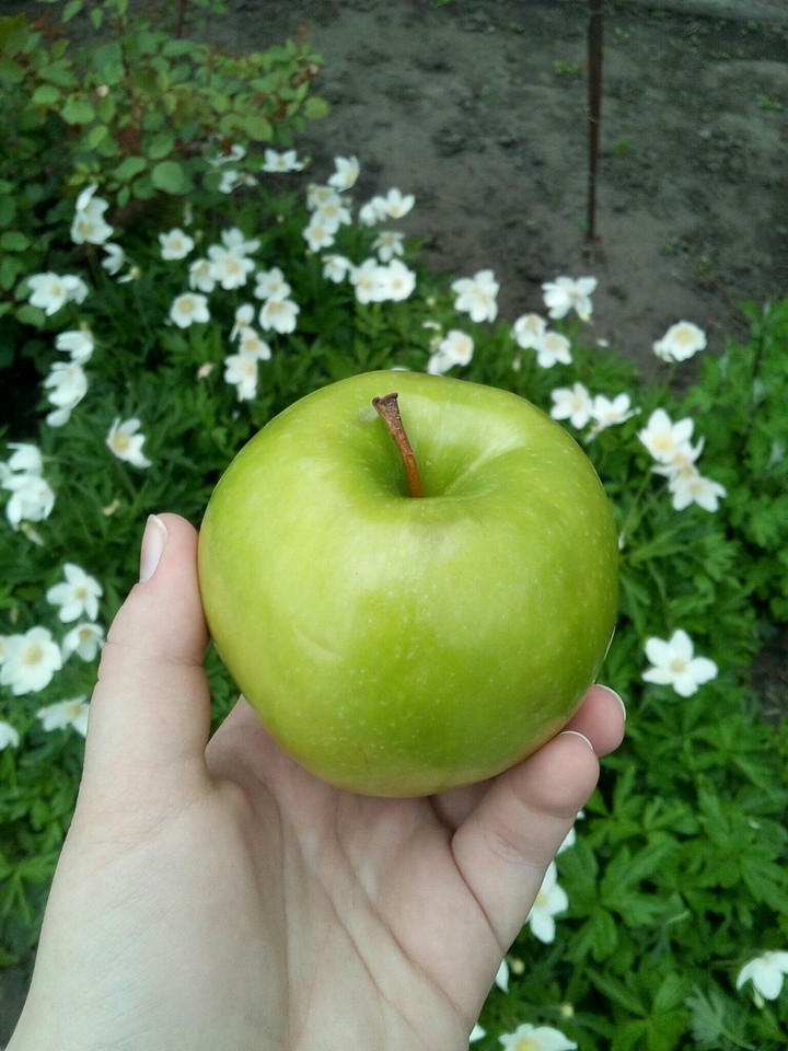 green apple
