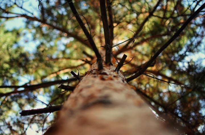 bokeh