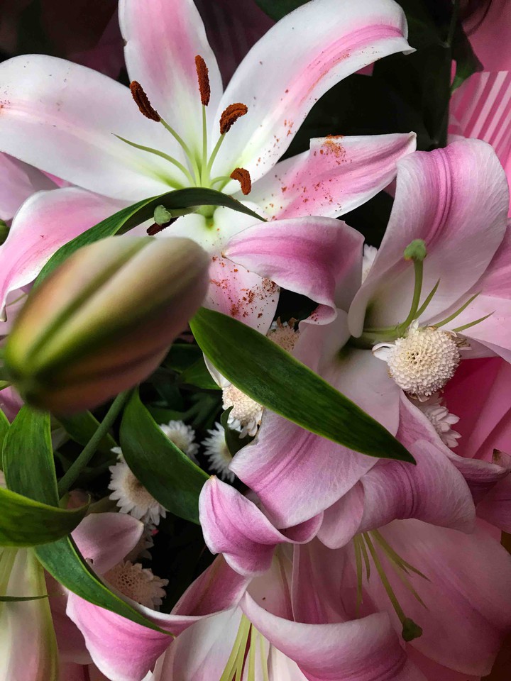 pink