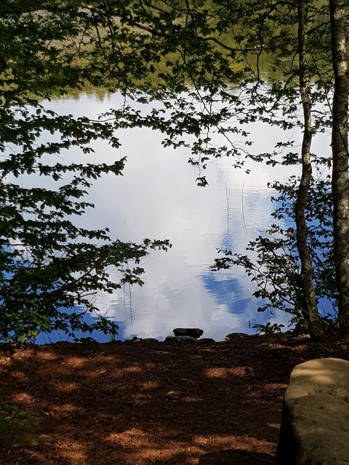 sky in the water
