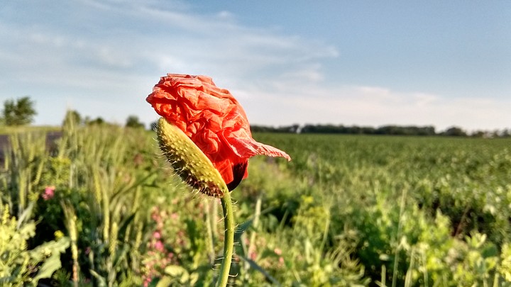 #Україна #літо #summer #краса