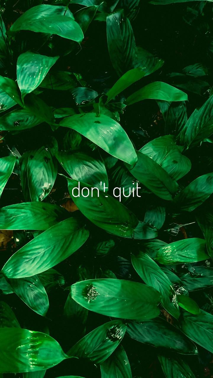 Don't Quite