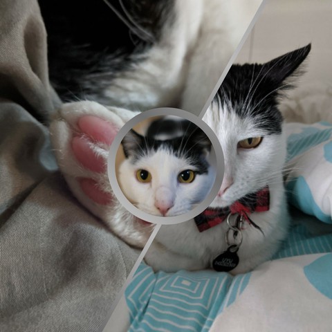 uyu