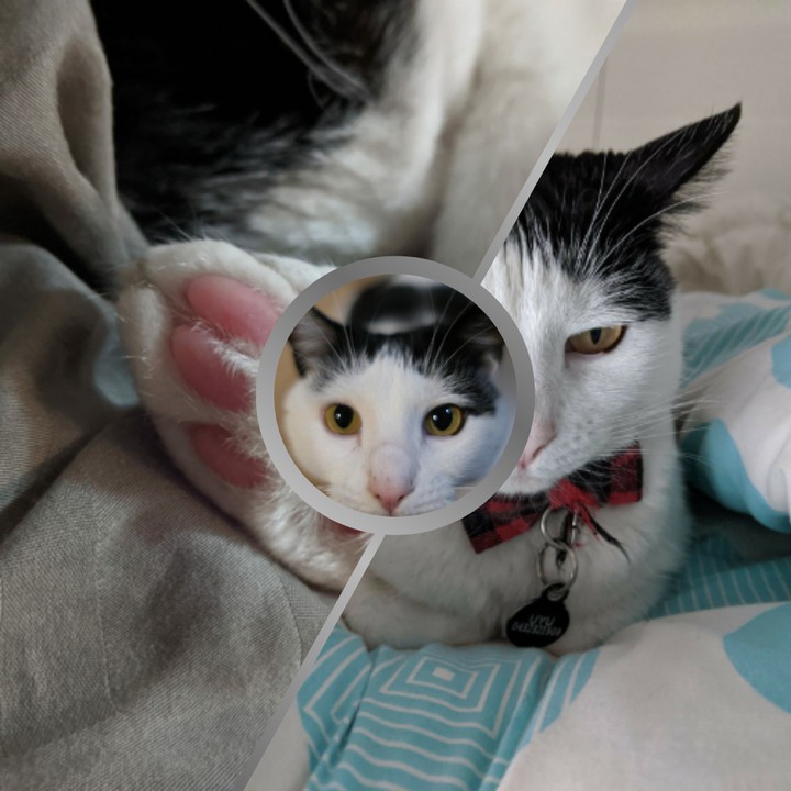 uyu