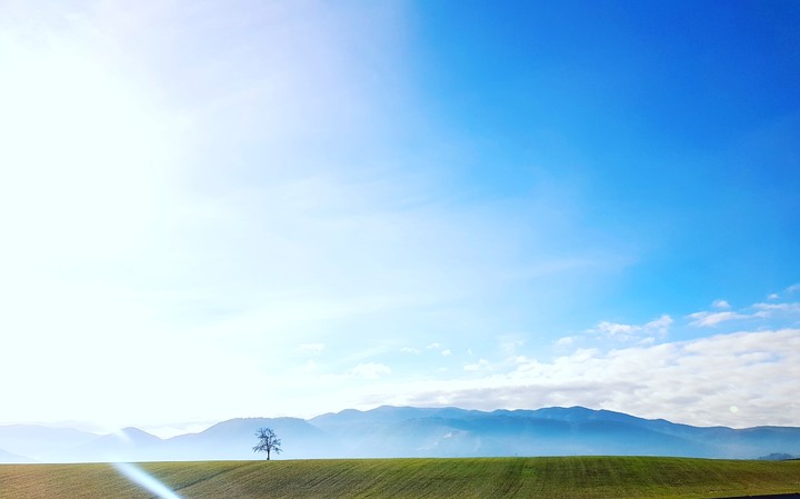 panorami