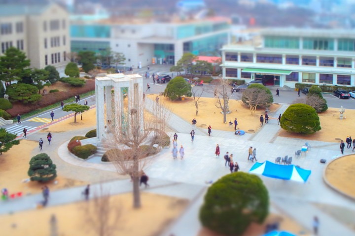 Dongguk University