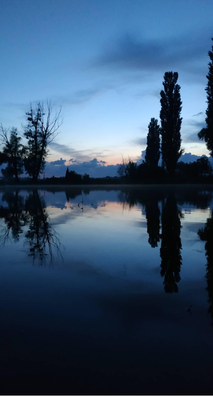 nature