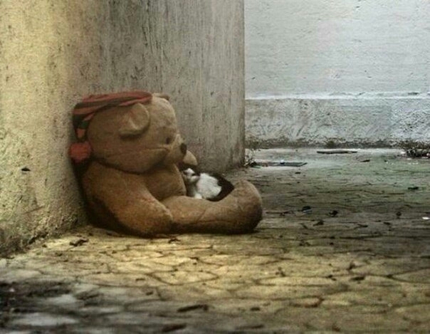сожеление