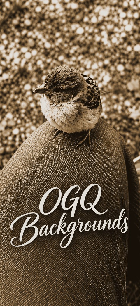 OGQ Backgrounds (AI modified Florence click)