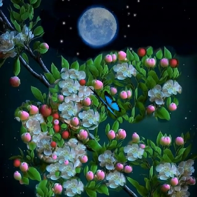 Flowers.