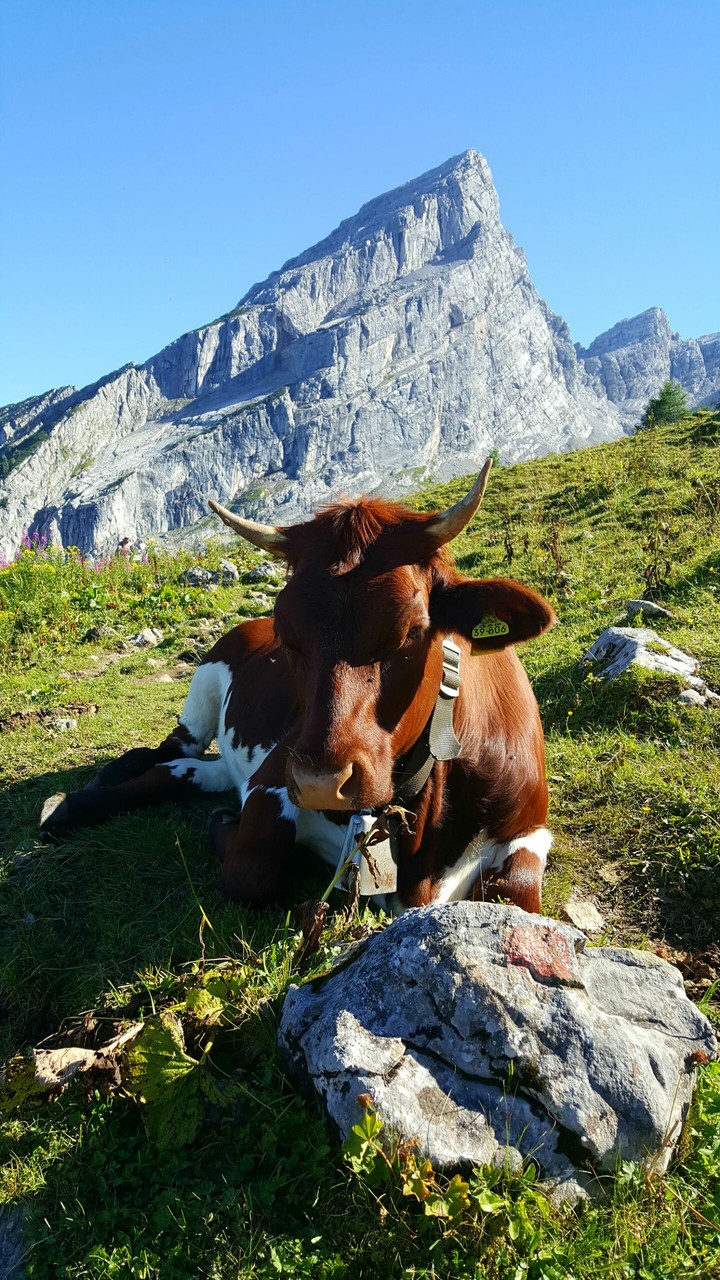 Watzmann