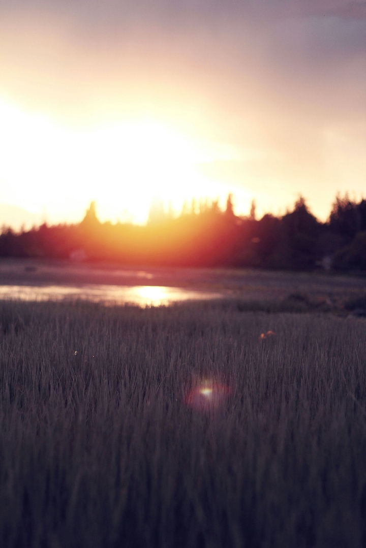 Firefly Field