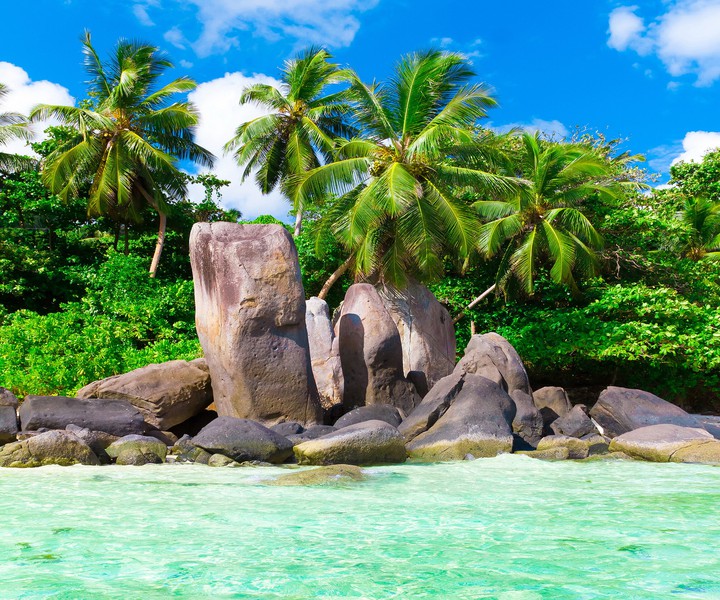 Enjoy Paradies