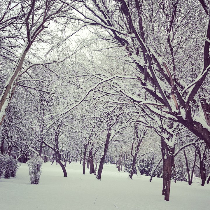 snow